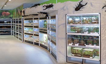 Raum mit Terrarien und Käferaufklebern