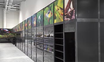 Raum mit Schränken und Tieraufklebern