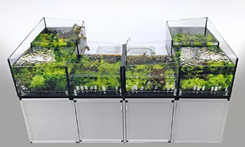 Aquarien mit Pflanzen