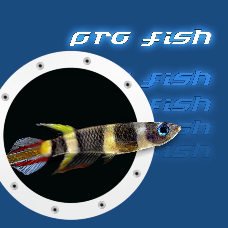 pro fish