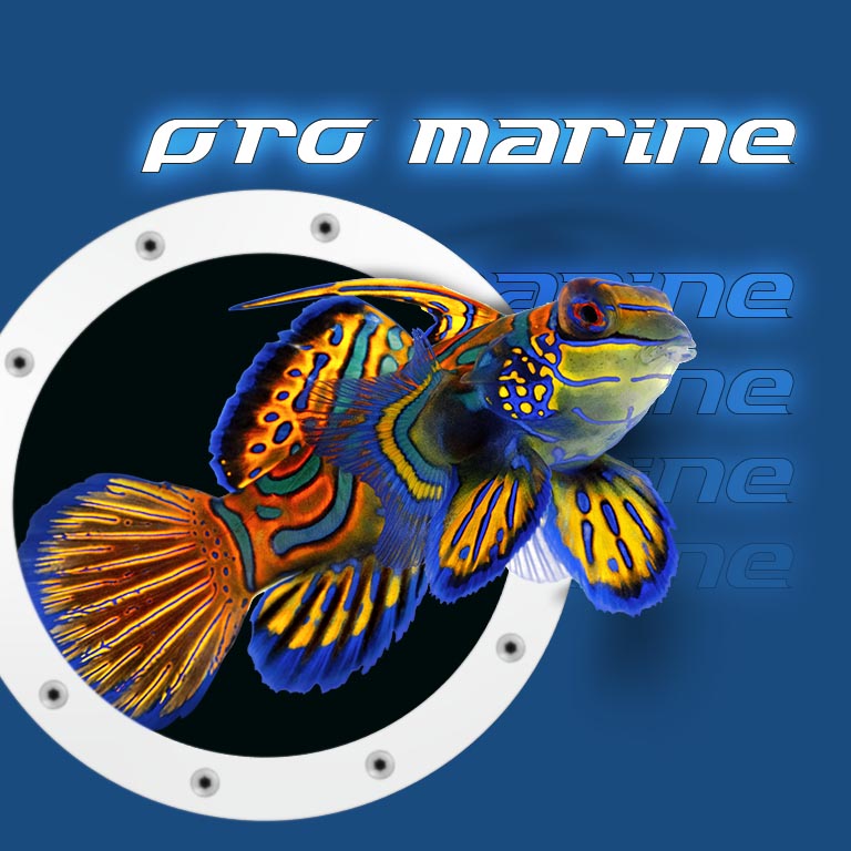 pro marine