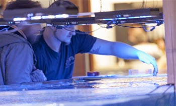 EFS-Mitarbeiter erklärt einem Kunden etwas