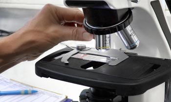 Nahansicht Mikroskop