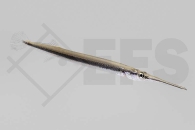 150215_Xenenthodon-cancila_Suesswasser-Hornhecht_01