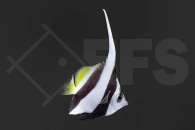 m10012_Heniochus-acuminatus_Rotmeer-Wimpelfisch_01